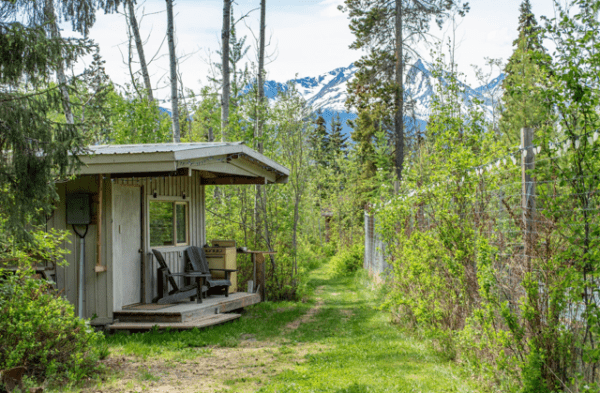 200 Hour Yoga Teacher Training - Immersion - Smithers, BC - Image 8